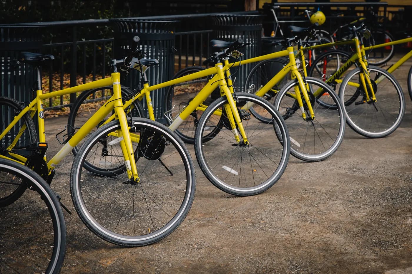 Yellow bicycles lined up before the 2025 Pedal for P-Man ride.